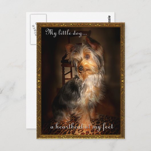 足 ポストカード (正面/裏面)