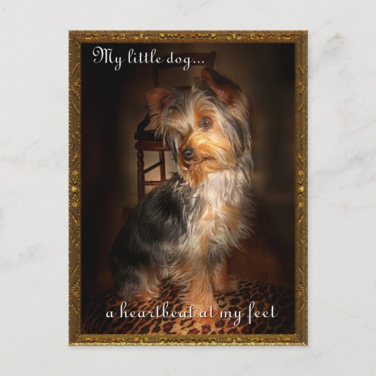 足 ポストカード (正面)