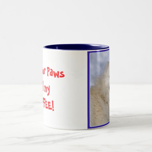 足!  マグ (中央)