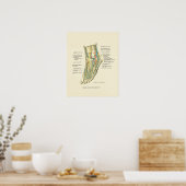 足&足首の内部解剖学ポスター ポスター (キッチン)