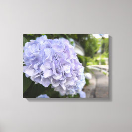 路傍の紫陽花 – 自然写真 キャンバスプリント