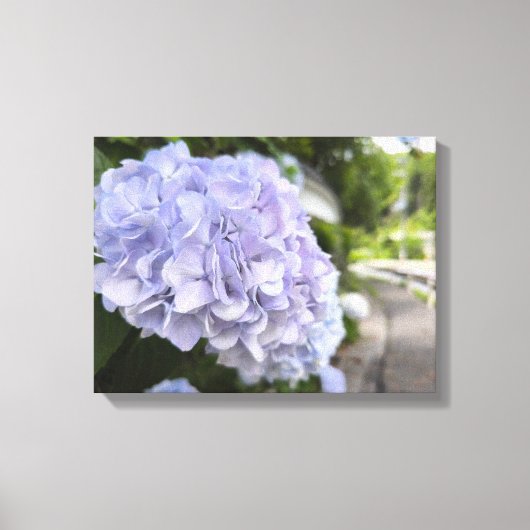 路傍の紫陽花 – 自然写真 キャンバスプリント (正面)