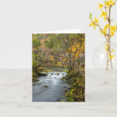 路地で遅れる カード (黄色い花)