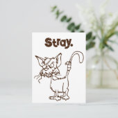 路地キャットタフ子猫クールトおもしろいム漫画 ポストカード (スタンド正面)