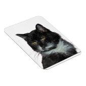 路地キャットラブ マグネット (右側)