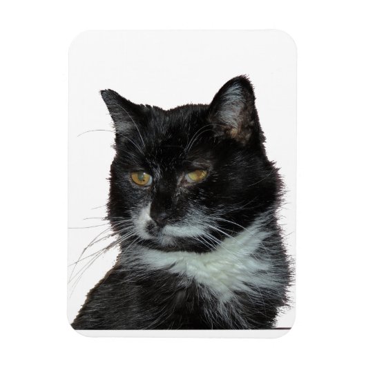 路地キャットラブ マグネット (縦)