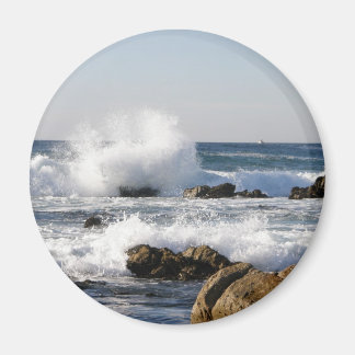 跳ねる マグネット