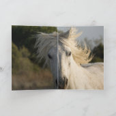 跳ね馬の挨拶カード カード (内部)