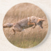 跳躍しているコヨーテ-テナガザル草原 コースター (正面)