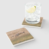 跳躍しているコヨーテ-テナガザル草原 ストーンコースター (横)