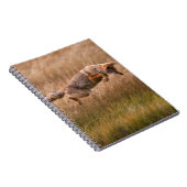 跳躍しているコヨーテ-テナガザル草原 ノートブック (右側)