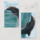 跳躍のイルカの名刺 名刺 (正面/裏面)