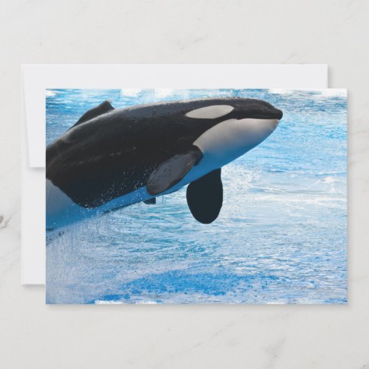 跳躍のクジラの招待状 招待状 (正面)