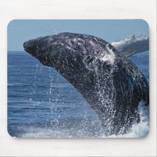 跳躍のザトウクジラのマウスパッド マウスパッド
