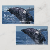 跳躍のザトウクジラの名刺 名刺 (正面/裏面)