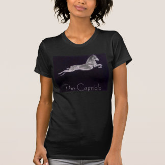 跳躍のTシャツ Tシャツ