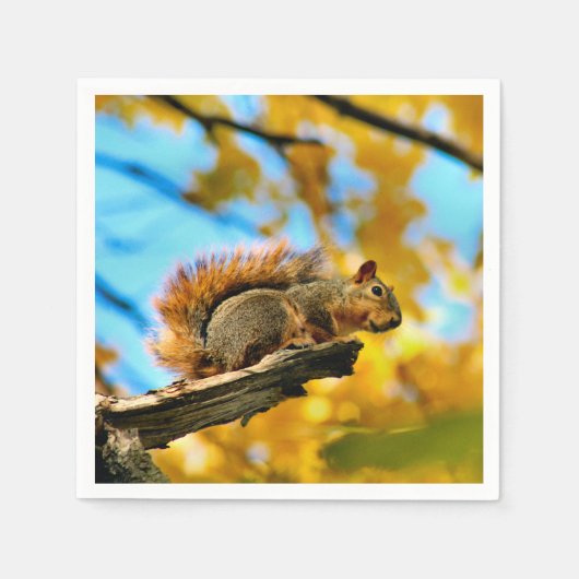 跳躍 スタンダードカクテルナプキン (正面)