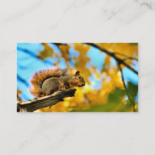 跳躍 名刺 (裏面)