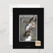 踊ってもいい？ ポストカード (正面/裏面)