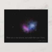 踊られた星がありました ポストカード (正面)