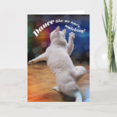 踊りおもしろい猫-誰も見ていない誕生日 カード (正面)