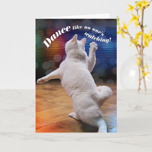 踊りおもしろい猫-誰も見ていない誕生日 カード (黄色い花)