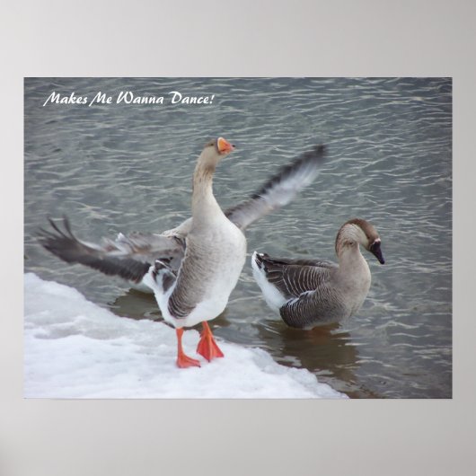 踊りたい！ ポスター (正面)