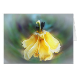 踊りのチューリップ