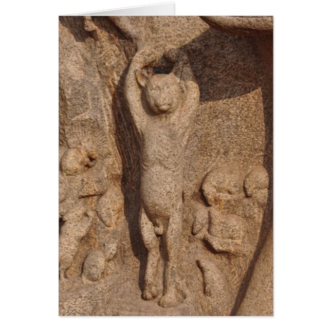 踊りの寺院猫、インド (正面)