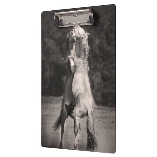 踊りの種馬 クリップボード (左)