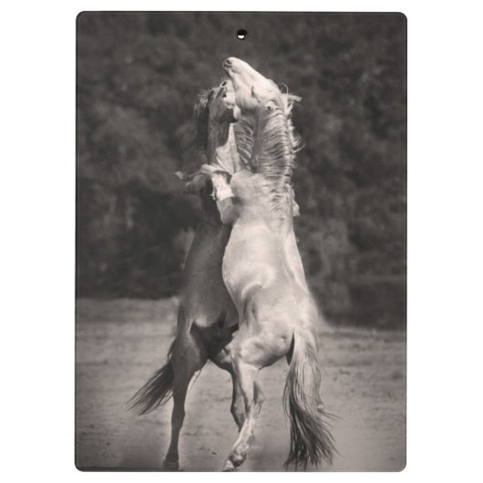 踊りの種馬 クリップボード (裏面)