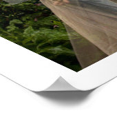 踊りの穏やかな動数々のき(6番) ポスター (角)