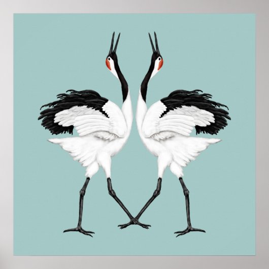 踊りひげ鶴 ポスター (正面)