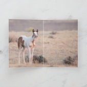 踊りアットドーンワイルドホースグリーティングカード カード (内部)