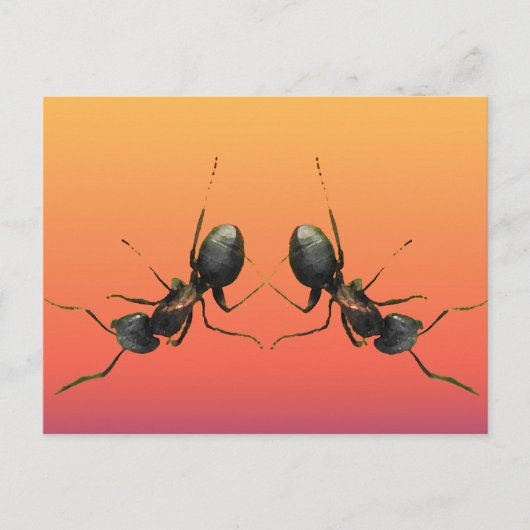 踊りアリ ポストカード (正面)