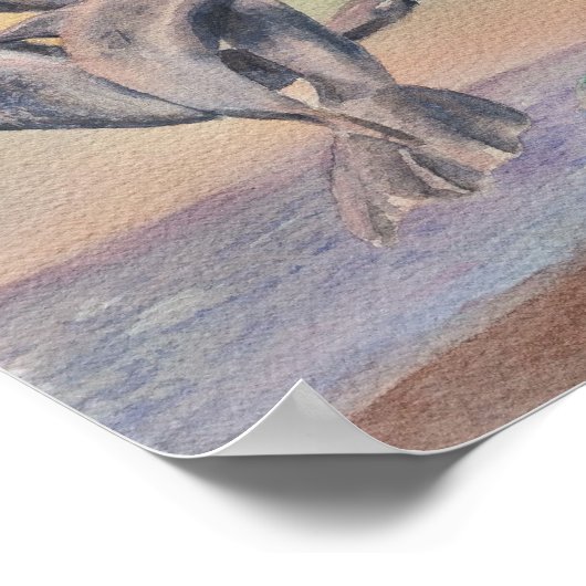 踊りイルカ ポスター (角)