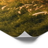 踊りウィズデュスク – テネシー夕日 ポスター (角)