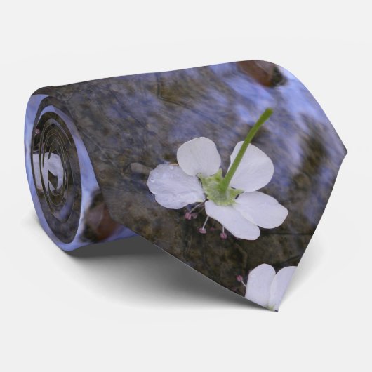 踊りオン水 ネクタイ (ロール)