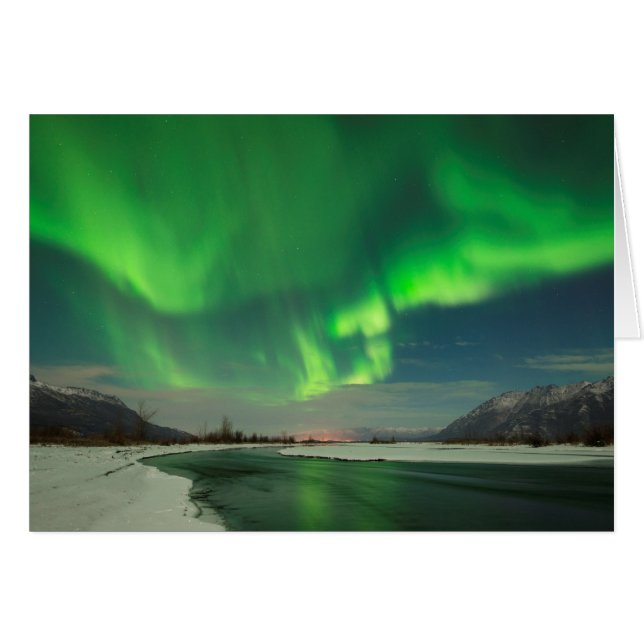 踊りオーロラ (正面横)