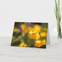 踊りケシ畑 カード