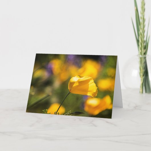 踊りケシ畑 カード (正面)