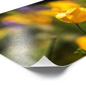 踊りケシ畑 フォトプリント            (角)