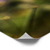 踊りケシ畑 ポスター (角)