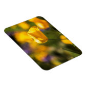 踊りケシ畑 マグネット (右側)