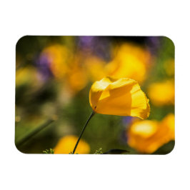 踊りケシ畑 マグネット