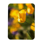 踊りケシ畑 マグネット (縦)