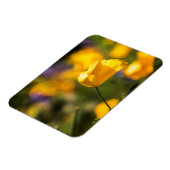 踊りケシ畑 マグネット (左側)