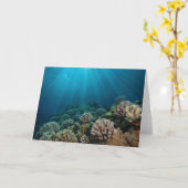 踊りサンライト カード (黄色い花)