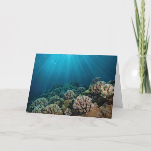 踊りサンライト カード (正面)