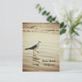 踊りシーガル ポストカード (スタンド正面)